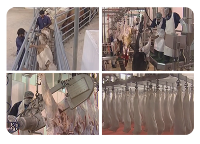 Meat Processing Image